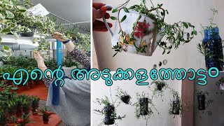 My small Kitchen garden🌷ഞാനും തുടങ്ങി കുഞ്ഞു അടുക്കളത്തോട്ട൦