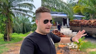 I Got LOST in Palm Oil Plantation Malaysia 🇲🇾