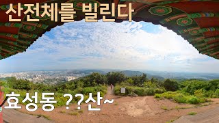 주말에 산전체를 혼자쓴 2시간 조용하고 여유로운 트레킹 계양구 효성동 천마산을 소개합니다.