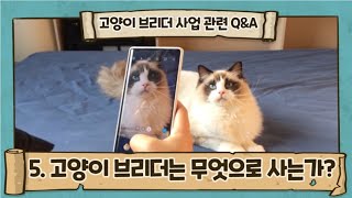 고양이 브리더는 어떤 의미를 갖고 사는가