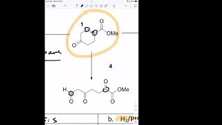 CHEM 320-02 11-28-22 Alkenes Final