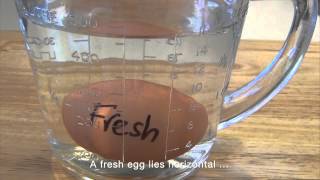 How to tell if an egg is fresh