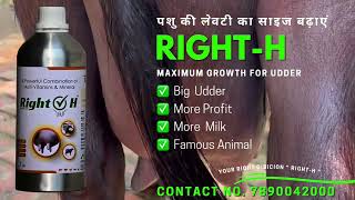 पशु की लेवटी बढ़ाने की दाव - Right H ( Multivitamin Liquid )