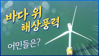 우리나라가 내야 할 탄소국경세 7천억원??? 우리 지구 살리기 1부 해상풍력 #탄소중립