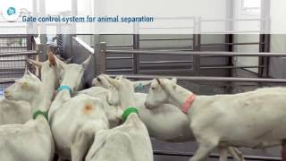 MP Armektron Fast 4 All- goats milking system