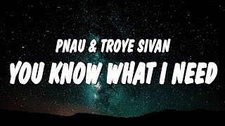 PNAU \u0026 Troye Sivan - You Know What I Need (Lyrics)