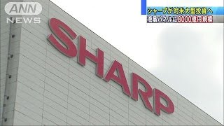 トランプ政策は好機・・・シャープ、対米大型投資を検討(17/02/08)