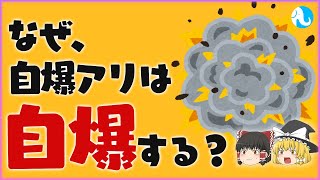 【利他行動の極致】生きるために死ぬ？ジバクアリの自爆戦略と生態の秘密【ゆっくり解説】