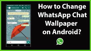 How to Change WhatsApp Chat Wallpaper on Android?