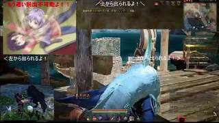 【黒い砂漠】もう忍者はこりごり動画