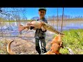 Catching bait for monster fishing | fishing challenge Part 1. The bait