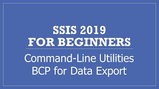 Using BCP Command for Query Result set Data Export as File