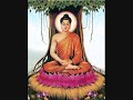 天上天下无如佛 南无本师释迦牟尼佛 namo shakyamuni buddha song