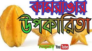 কামরাঙার উপকারিতা | Star fruit health benefit.