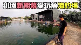 【老蟹愛釣魚】魚正在咬的時候竟然發生這樣的事情 ...