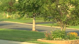 Best Times for Low Pollen Count -- From the makers of ZYRTEC®