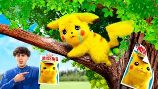 My Pokemon Is Missing