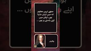 Voltaire Quotes - Urdu Story - Urdu Quotes - والٹیئر || Golden Words For Golden Heart  || #shorts
