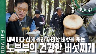 부부가 새벽마다 산에서 🍄‍🟫버섯캐기 29년! 👍김영철 엄지 척 [동네 한바퀴 - 충북 청주] | KBS 20201114 방송