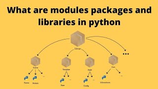Python || Using Python Libraries || Class 12 || Part 1