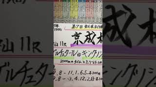 【競馬予想】中山11R 京成杯🏇3億4000vs2億9000はたして🤭❣️