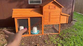 Honest review of this chicken coop for our 6 chickens!