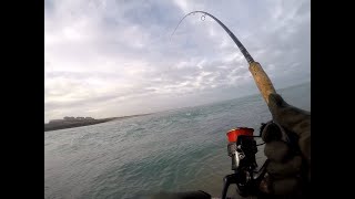 أخطر هجوم سمكة درعي قبل هيجان البحر (موفيطة)🌊🌊🌊🎣🎣🎣🎣🐟🐟🐟