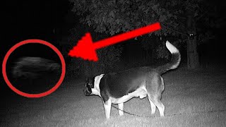 TeamBPS: Dogs Saw Something | Paranormal Activity | Ghost Hunter | Bangladesh Paranormal Society