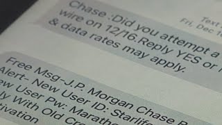 Where do spam texts go when reported?