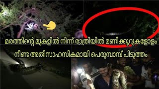 Python catched from tree top | മണിക്കൂറുകളോളം നീണ്ട അതിസാഹസികമായ പെരുമ്പാമ്പ് പിടുത്തം| Pattambi