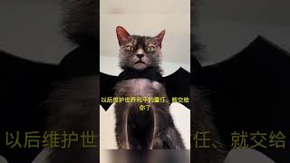 不能說一模一樣，只能說非常的相似#搞笑 #tiktok #專治不開心 #lol #funny #funnyvideo #shorts #shortsvideo