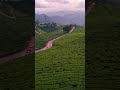 കേരളം എത്ര സുന്ദരം. മൂന്നാർ എത്ര മനോഹരം kerala is so beautiful. munnar is so beautiful song love