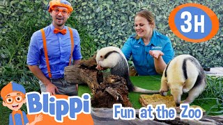 Learning about Fun Cool Zoo Animals + More  | Blippi and Meekah Best Friend Adventures
