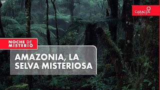 Amazonia, la selva misteriosa | Noche de Misterio