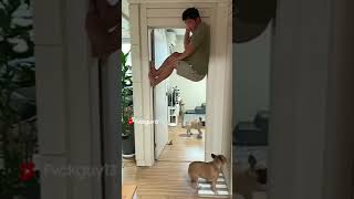 Hooman is invisble, Dog be like : where's dad mate 🐾 #shorts #dog