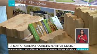 Қазақстанда 500  мың гектар орман алқабы қалпына келтірілді