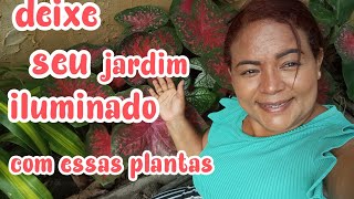 PLANTAS QUE VÃO DEIXA SEU JARDIM ILUMINADO EM 2025 VEM VÊ 🤩