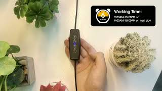 Grow Lights for Indoor Plants Full Spectrum Auto Plant Lamps with Timer  for Seeding Succulent Herb