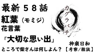 【５８話カグラバチ】神楽日和【２０２４／５１号】　紅葉　花言葉　「大切な思い出」