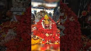 #song #love #tarinibhajan #tarinimaa #hindudeity #ghatagaontarini #maa#shorts#trending #viralvideo