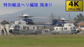 【VIP専用機】要人輸送ヘリ EC-225 編隊飛来@明野