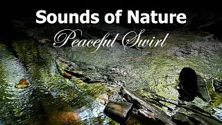 Sounds Of Nature  - Babbling Brook (No Music)