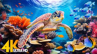 Ocean 4K - Sea Animals for Relaxation, Beautiful Coral Reef Fish in Aquarium(4K Video Ultra HD) #100