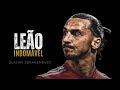 MANTENHA O LEÃO VIVO -  Zlatan Ibrahimovic DUBLADO | MOTIVAÇÃO 2025