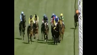 Horse Racing Death 88 - Just Marion at Brighton Racecourse *BLINDFOLDED HORSE RUNS LOOSE*