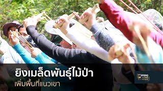 ชาวพยุหะคีรี ยิงเมล็ดพันธุ์ไม้ป่าเพิ่มพื้นที่แนวเขา | 25 ส.ค. 61 | เมืองไทยใหญ่อุดม