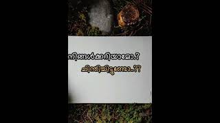 ചെറിയ ക്ലാസ്സിൽ ഫുൾ മാർക്ക്‌ വാങ്ങിയിരുന്ന കുട്ടി വലുതായപ്പോൾ മാർക്ക്‌ കുറഞ്ഞോ / കാരണമറിയാമോ.??