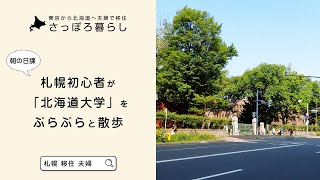 札幌移住者が朝の「北海道大学」をぶらぶら散歩した記録【北海道観光】