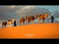 Desert Oud - Arabian Music - Meditation in Desert, Arabian Radiance
