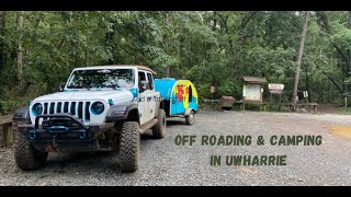 UWHARRIE NATIONAL FOREST CAMPING AND OFF ROADING JEEP WRANGLER 4X4